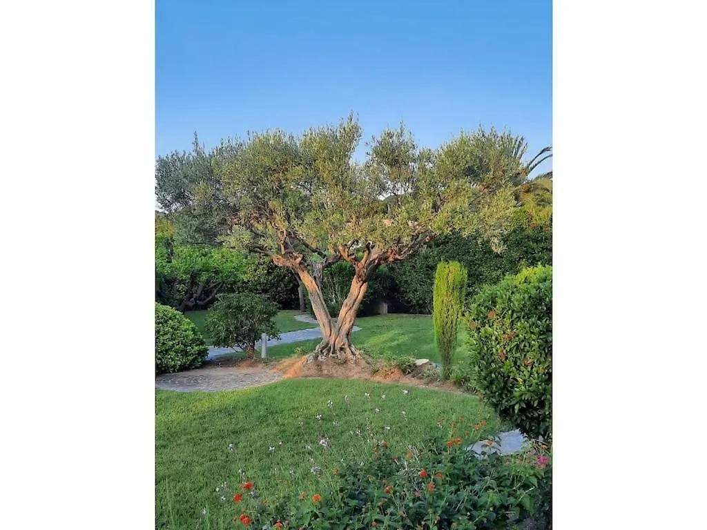 Villa In La Croix Valmer With Wifi Francia